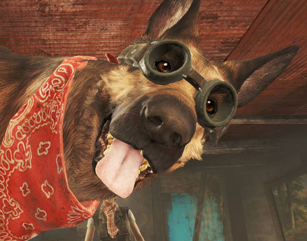 Dogmeat Wallpapers