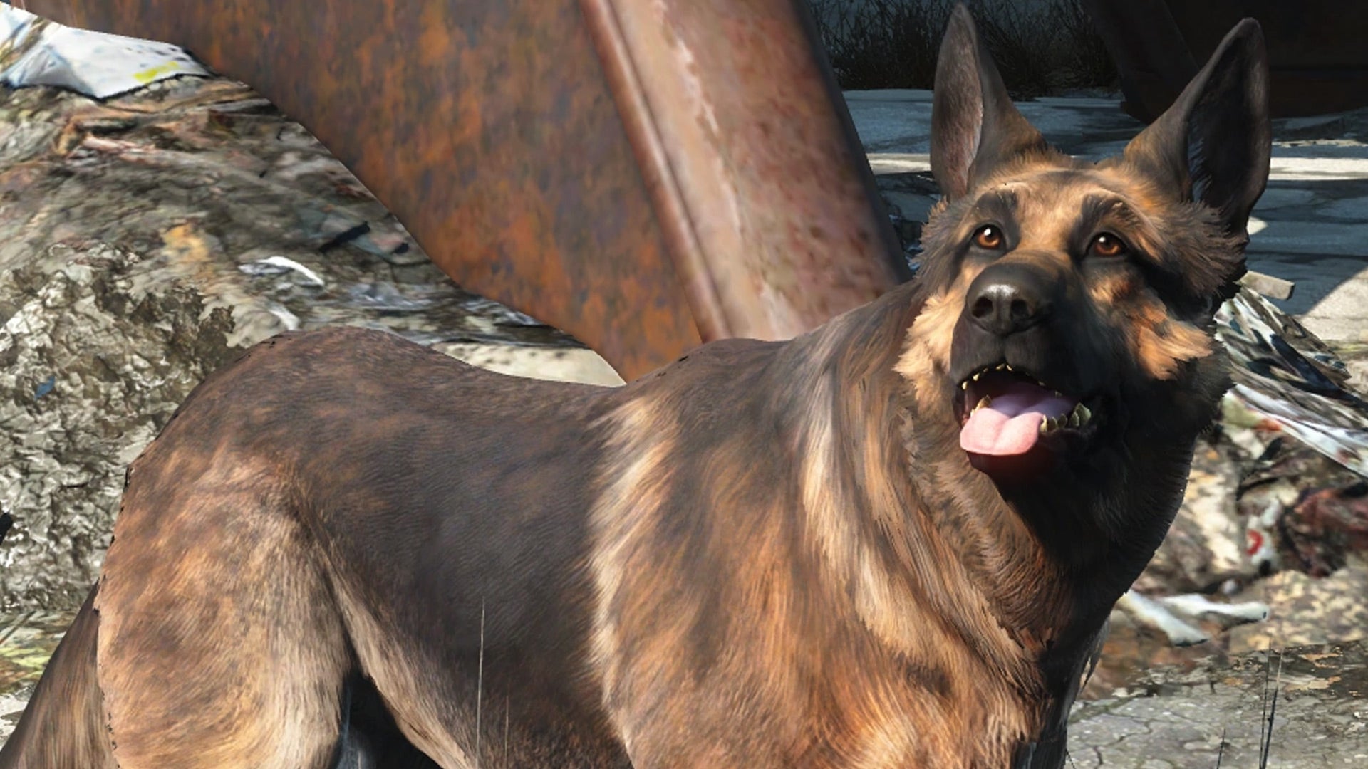 Dogmeat Wallpapers