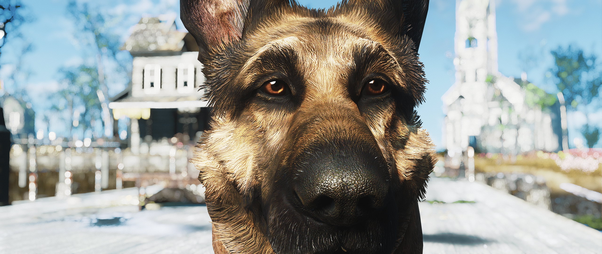 Dogmeat Wallpapers