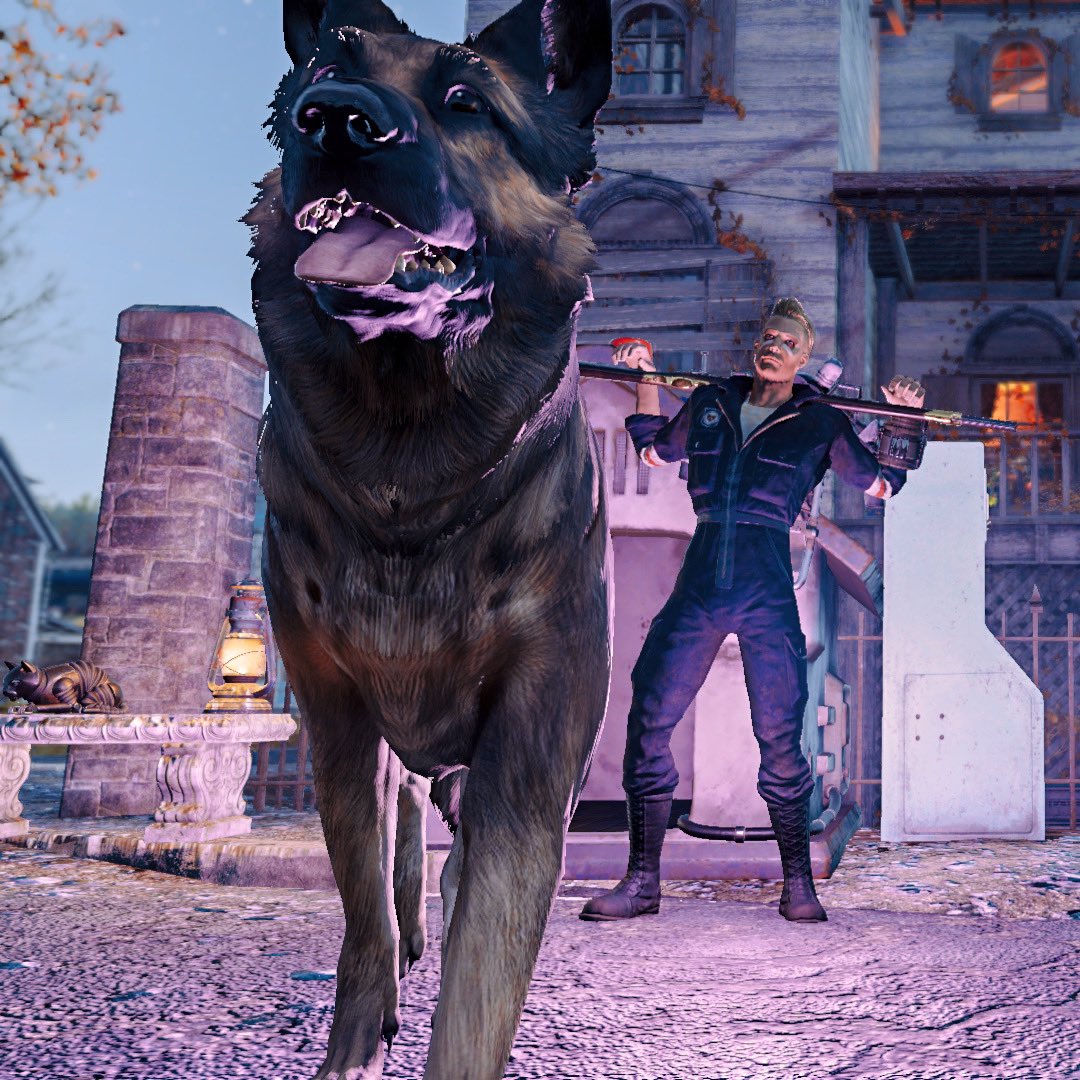 Dogmeat Wallpapers