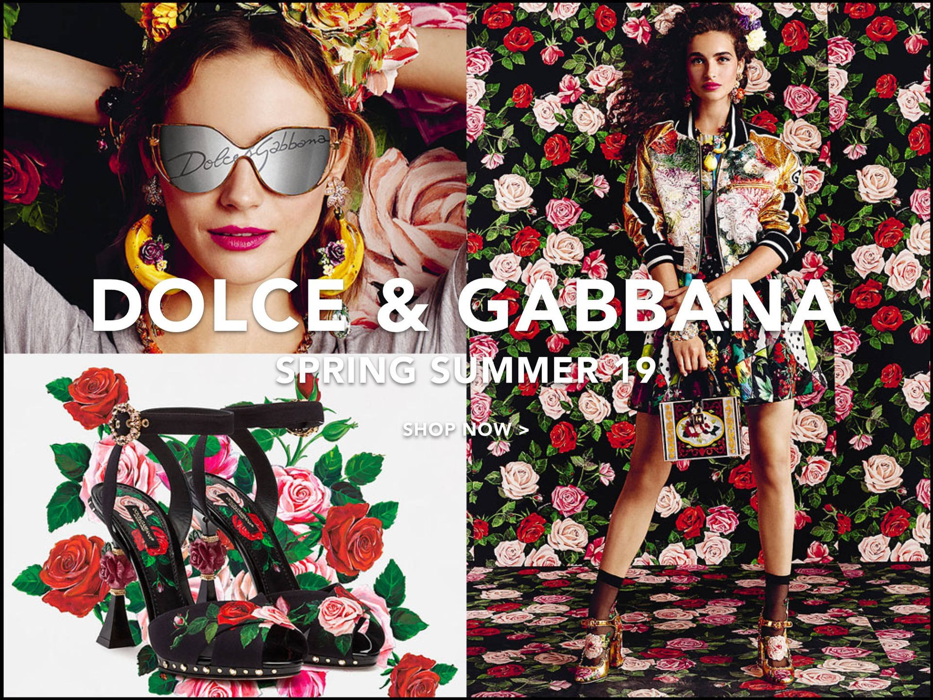 Dolce And Gabbana Wallpapers