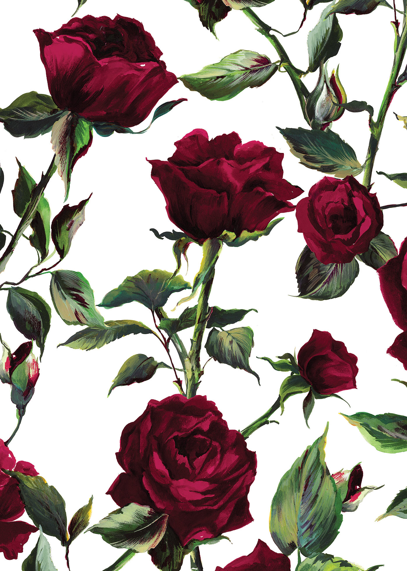 Dolce And Gabbana Wallpapers