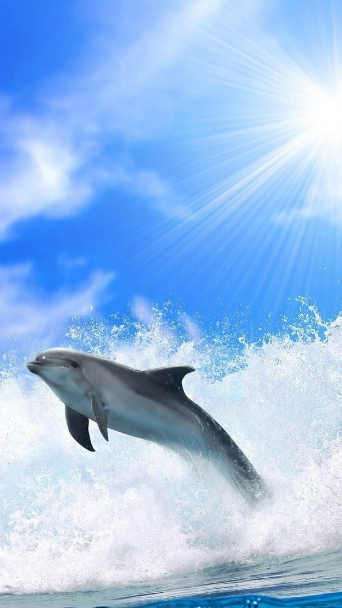 Dolphin 4K Wallpapers