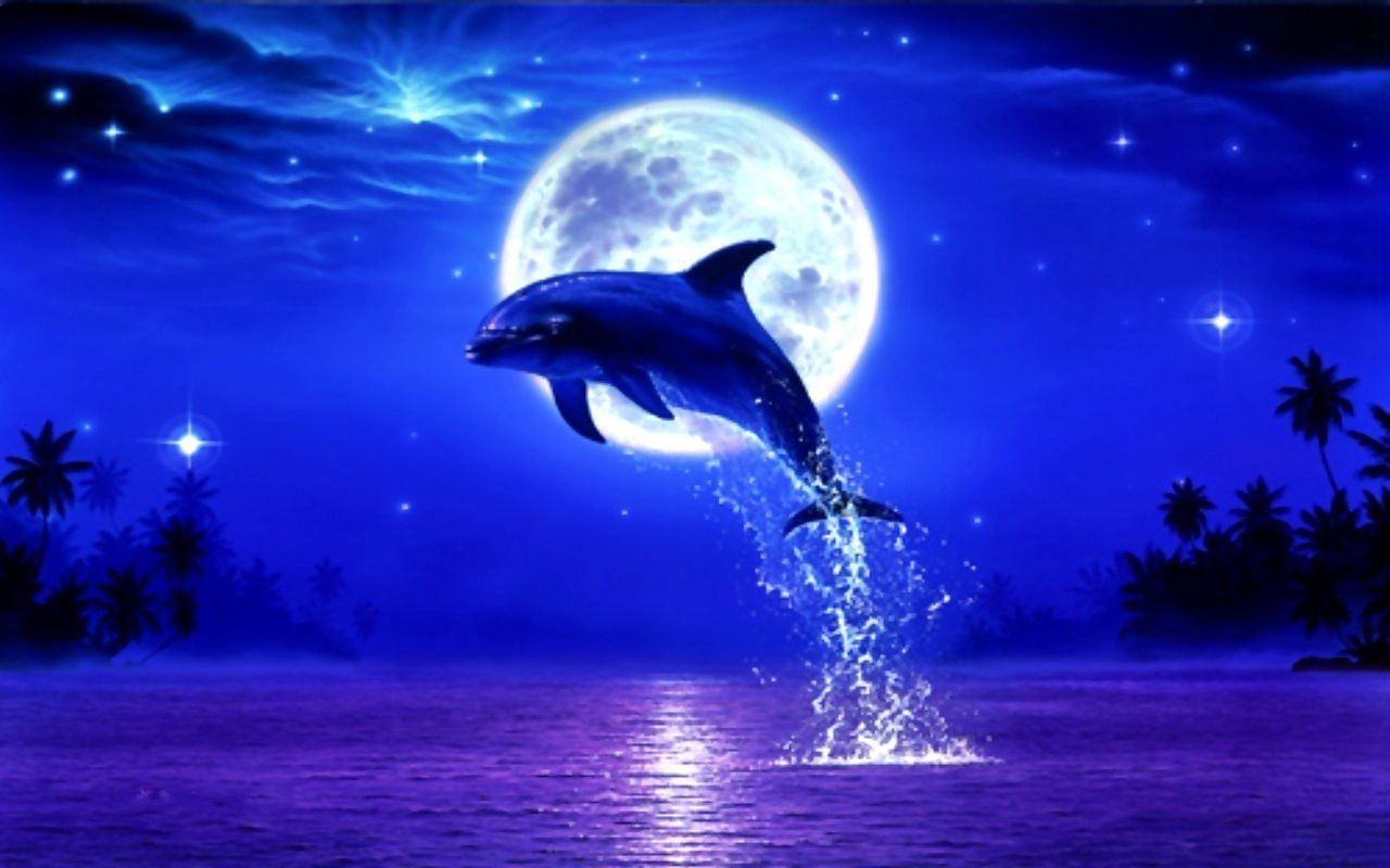 Dolphin Desktop Wallpapers