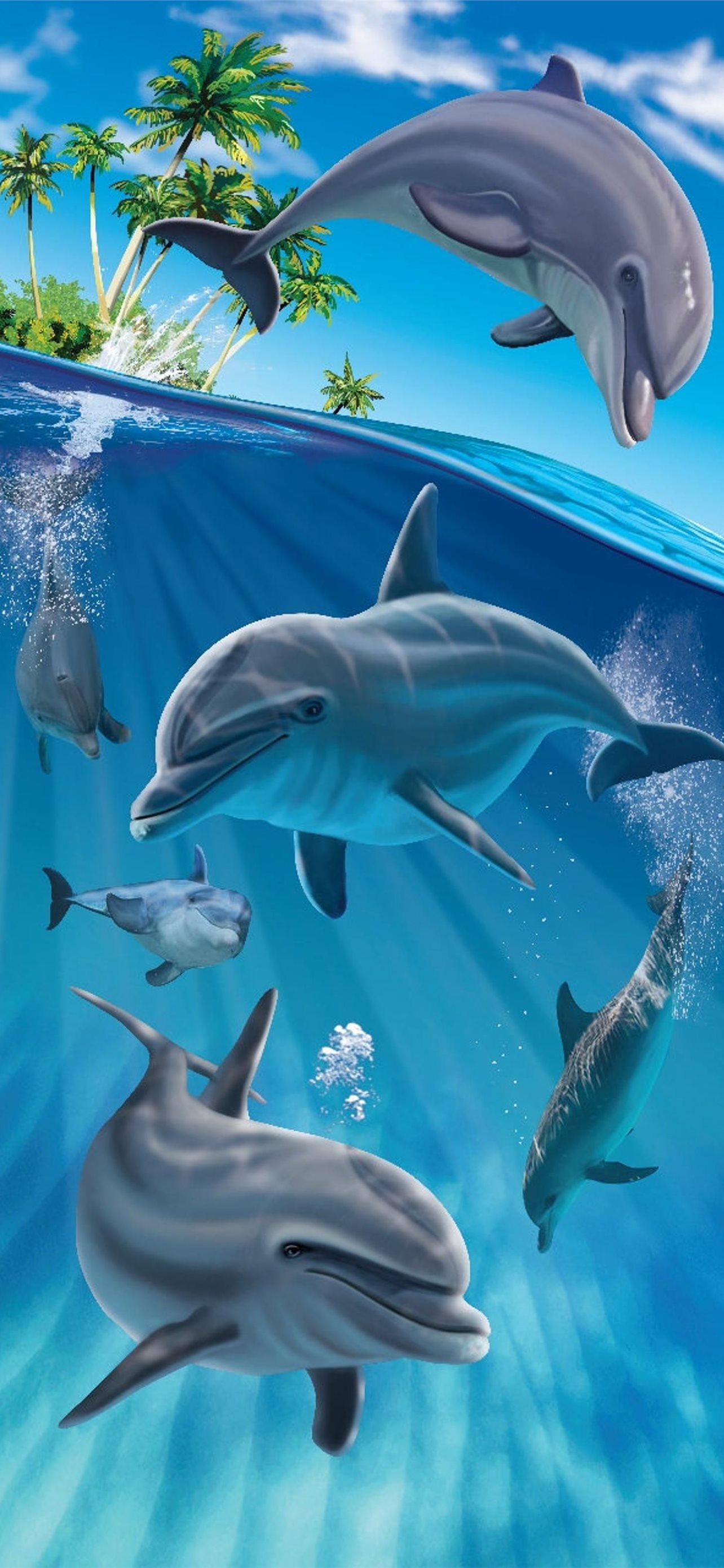 Dolphin For Iphone Wallpapers