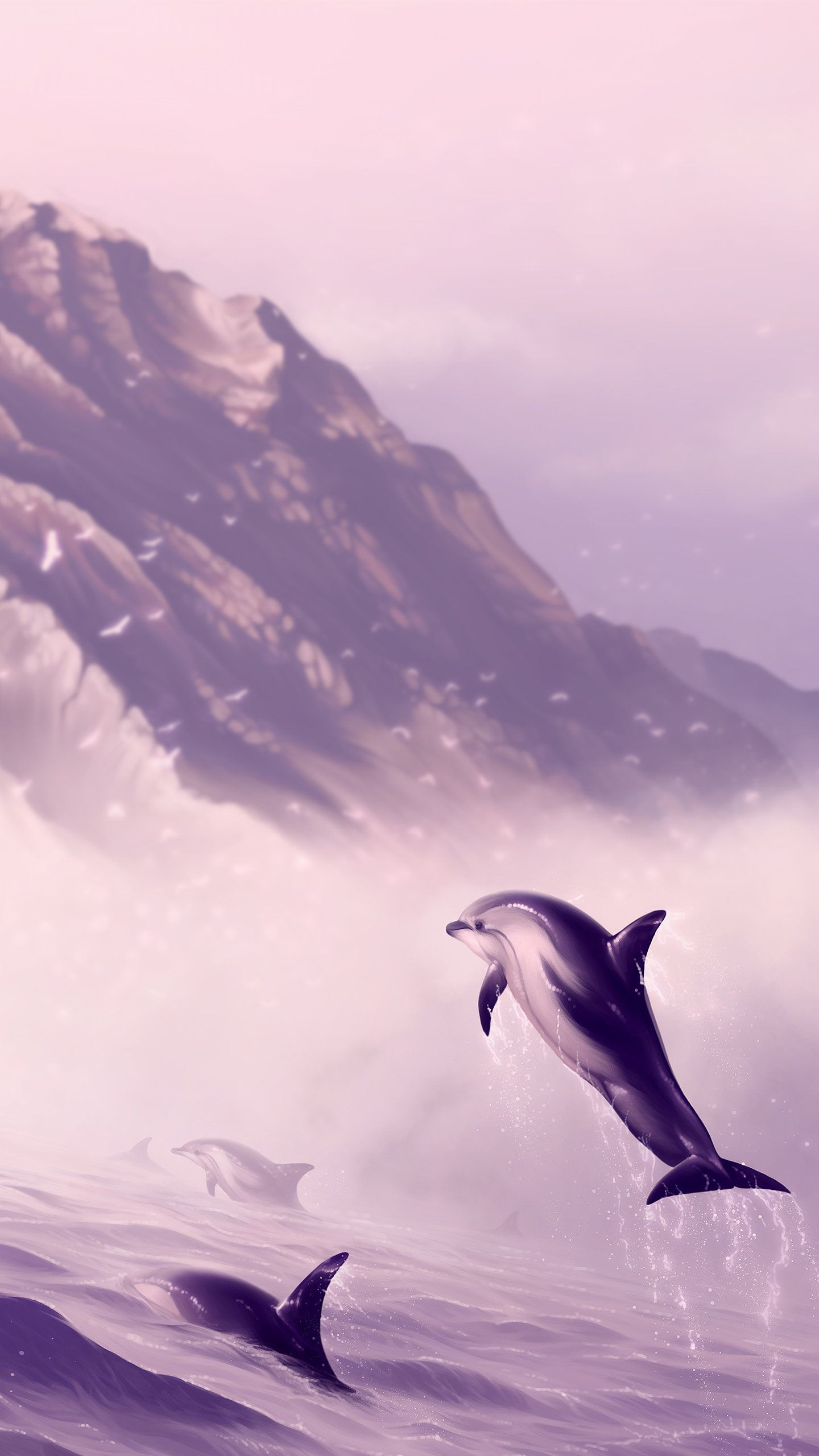 Dolphin For Iphone Wallpapers