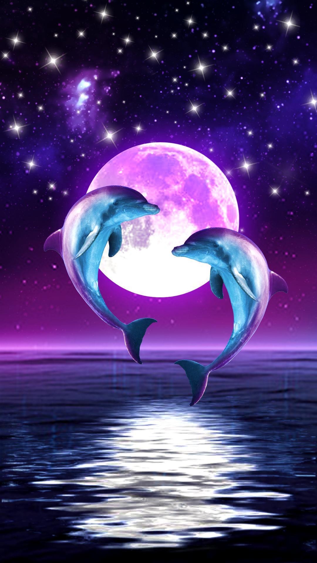 Dolphin Heart Wallpapers