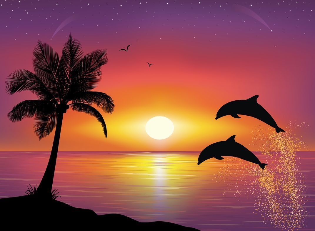 Dolphin Heart Wallpapers