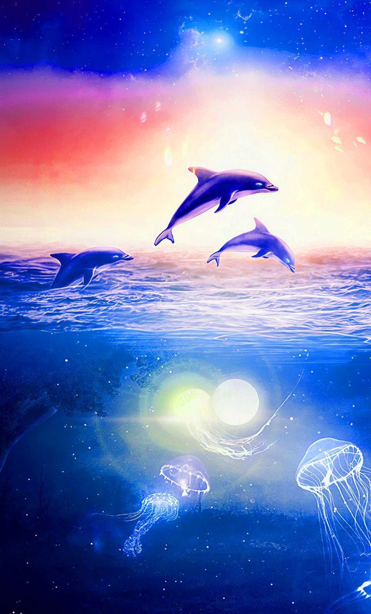 Dolphin Wallpapers