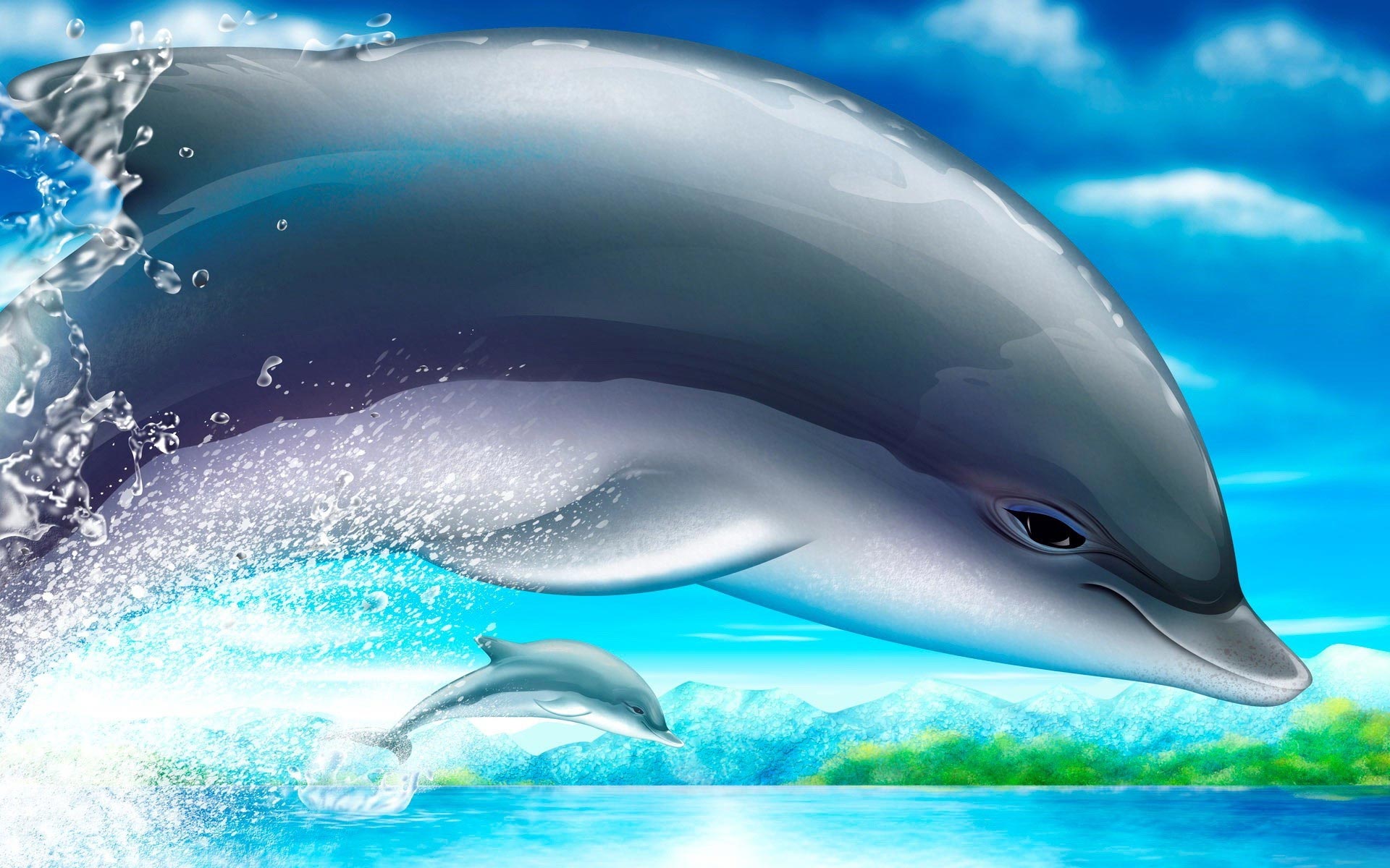 Dolphin Wallpapers