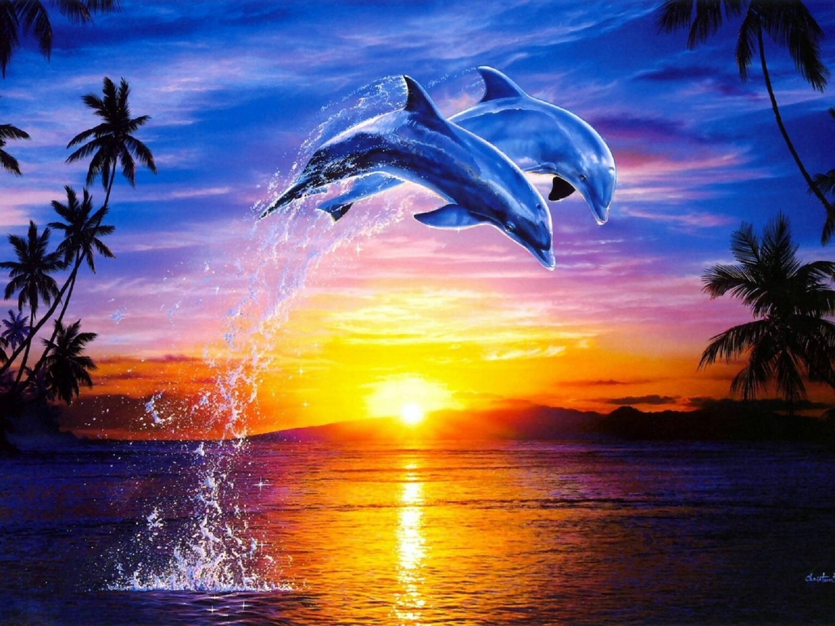 Dolphin Wallpapers