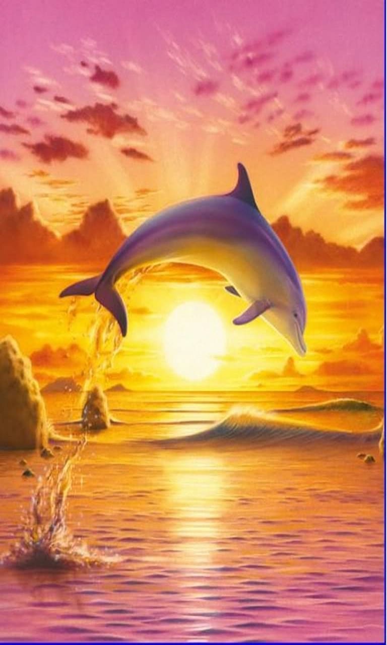 Dolphin Wallpapers