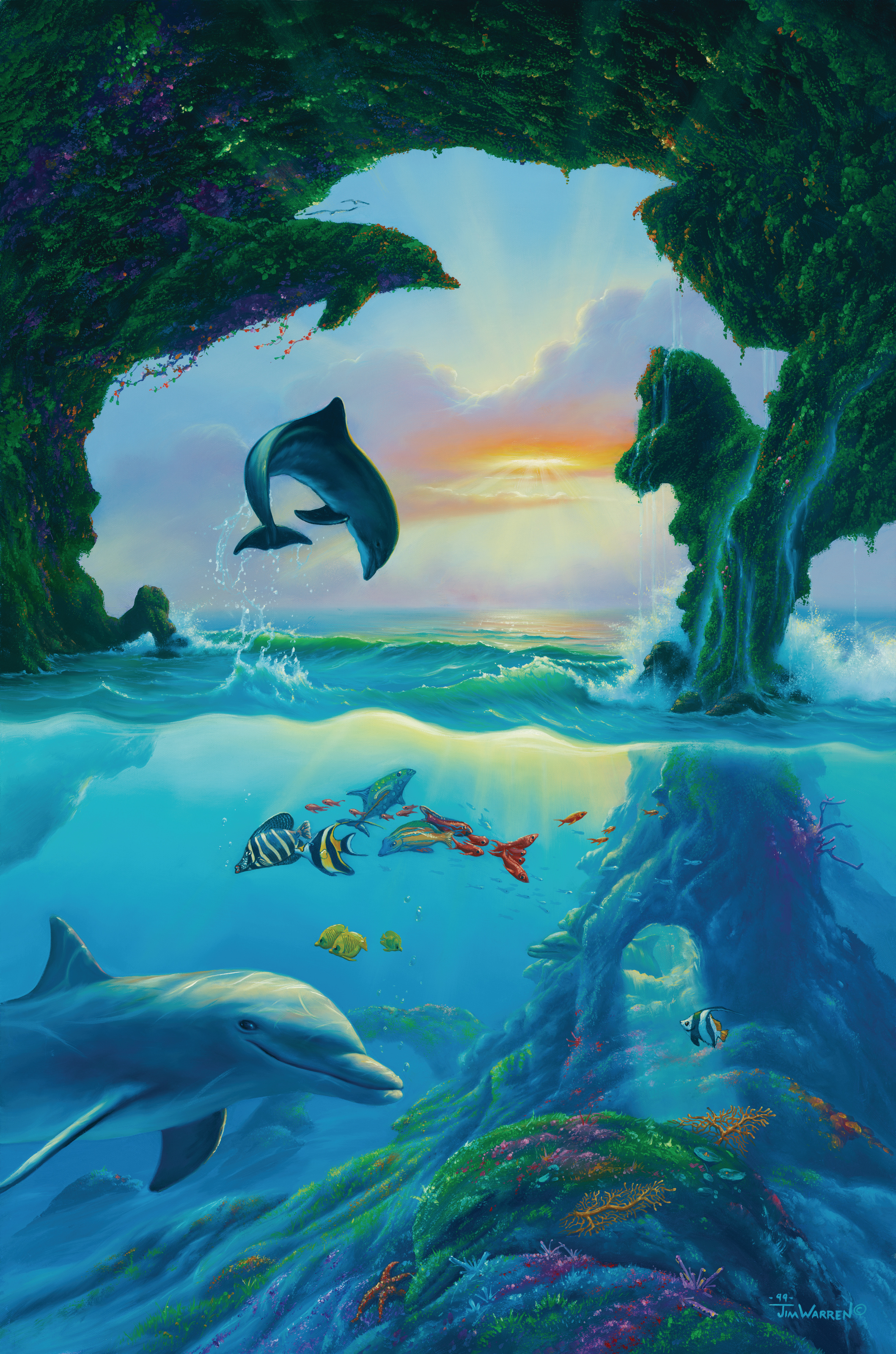 Dolphin Wallpapers