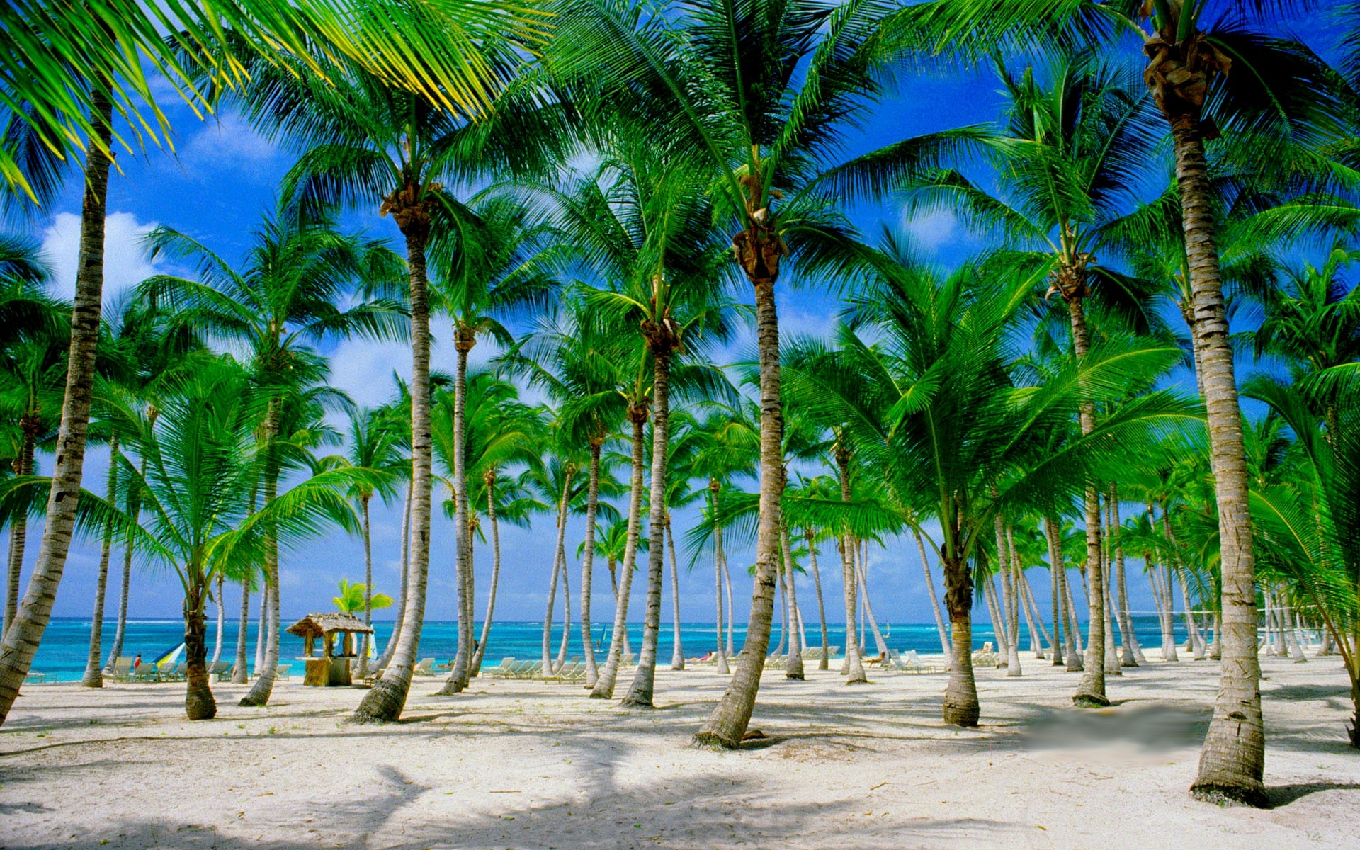 Dominican Wallpapers