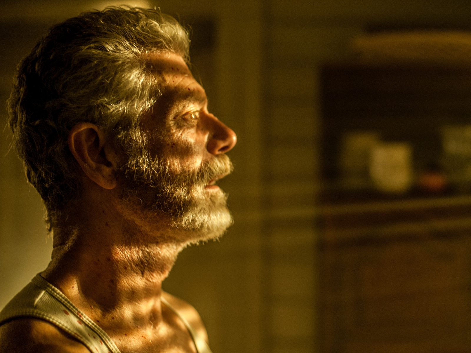 Don'T Breathe 2021 Wallpapers