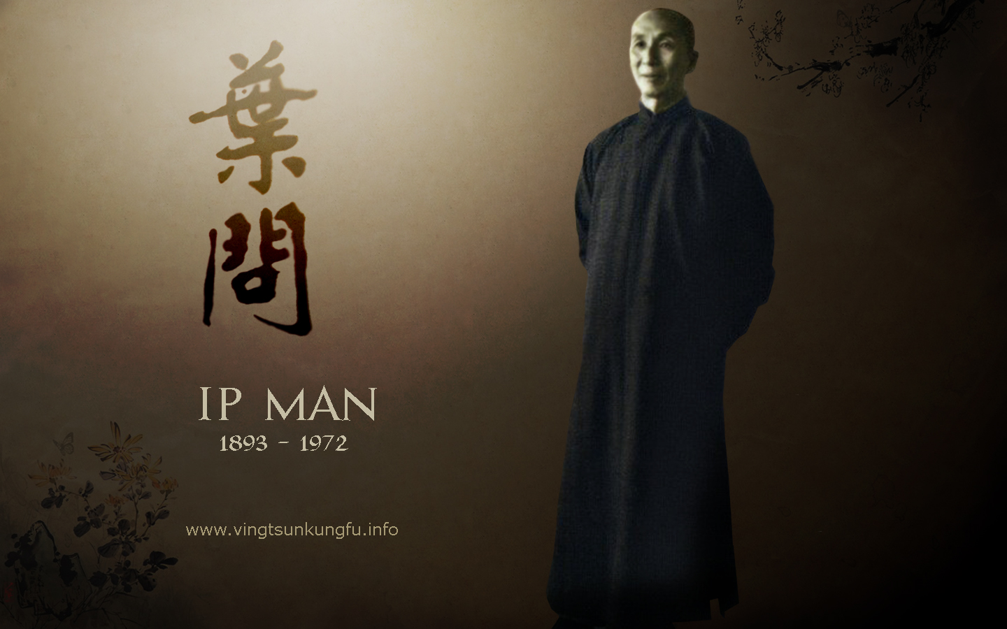 Donnie Yen Ip Man 4 Wallpapers