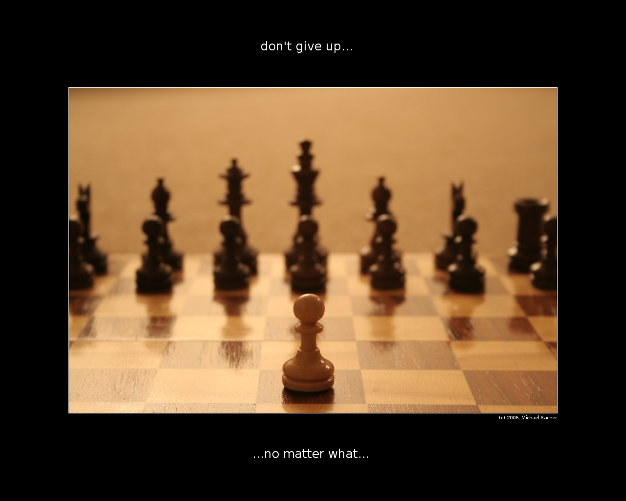 Dont Give Up Wallpapers