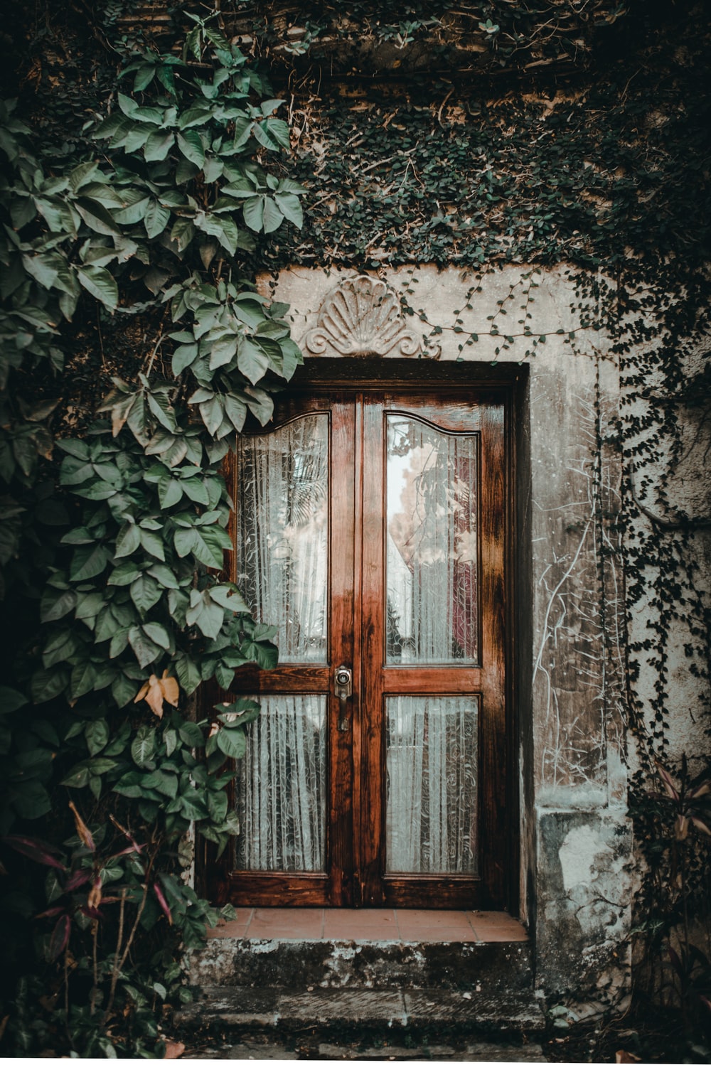 Door Wallpapers