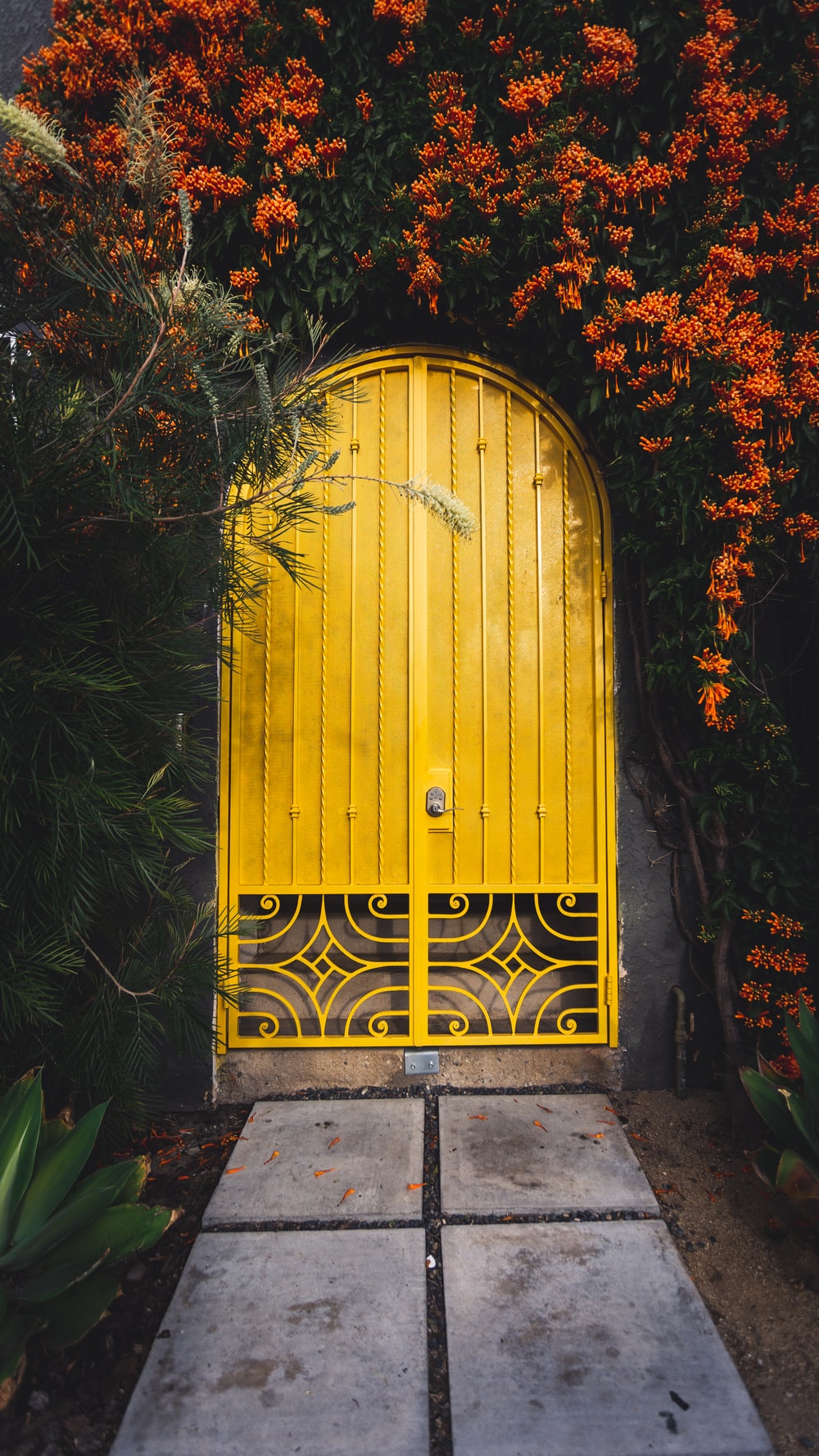 Door Wallpapers