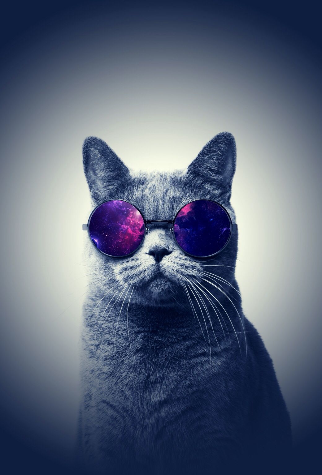 Dope Cat Wallpapers