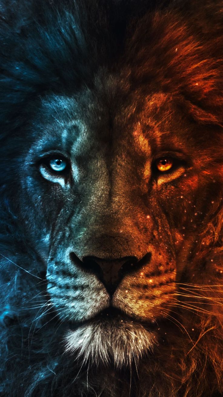 Dope Lion Pictures Wallpapers