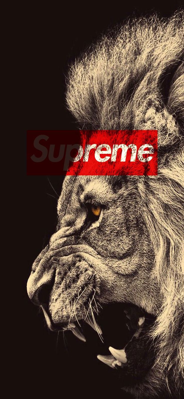 Dope Lion Pictures Wallpapers