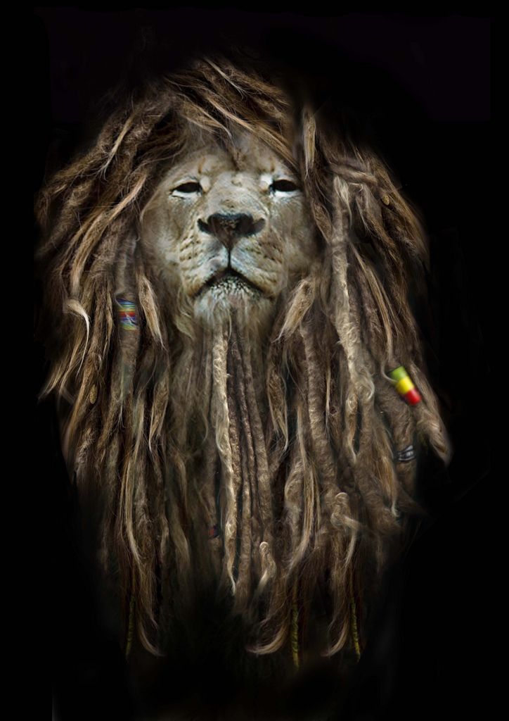 Dope Lion Pictures Wallpapers