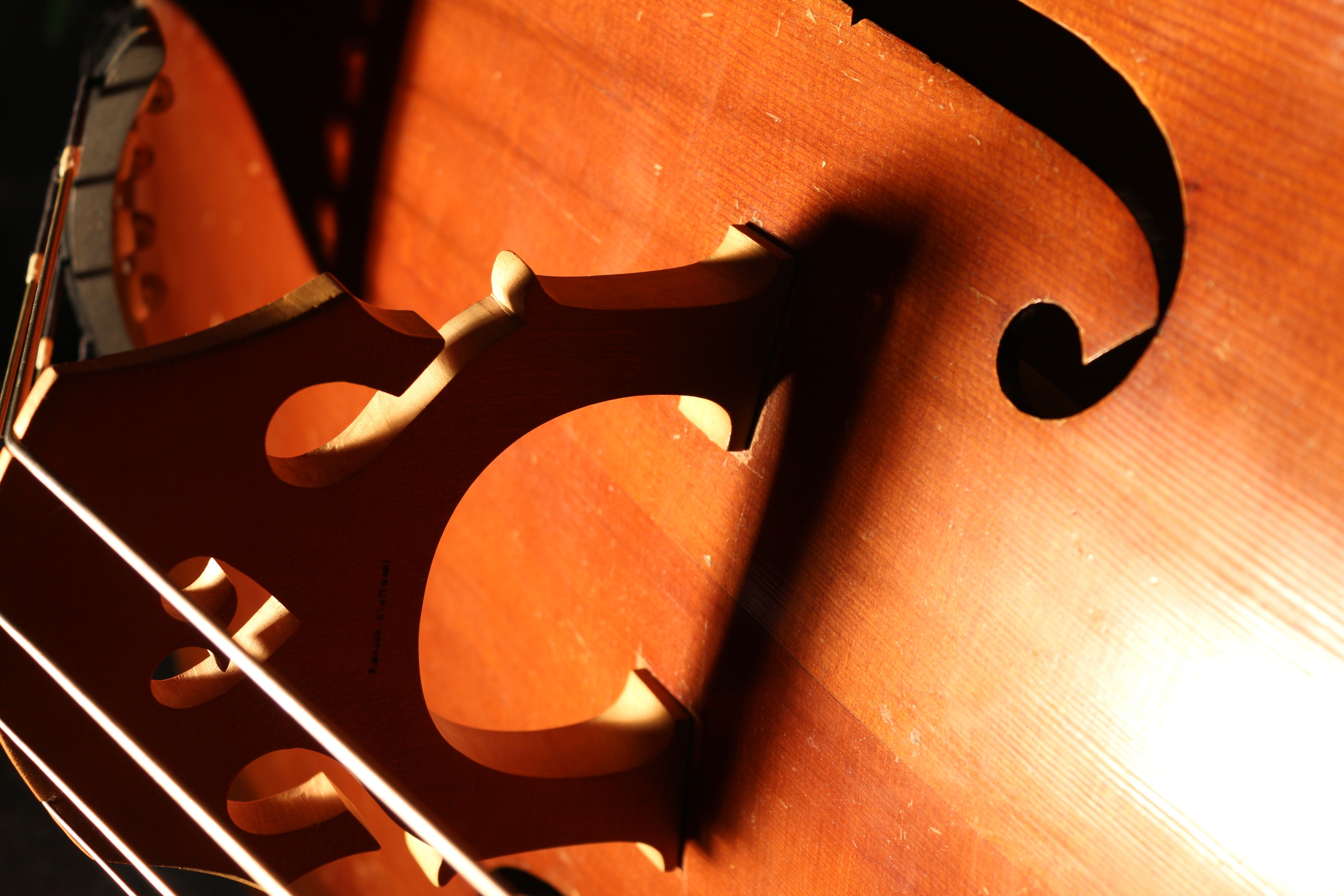 Double Bass Wallpapers