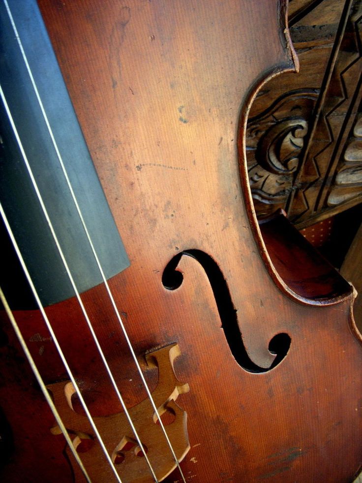 Double Bass Wallpapers