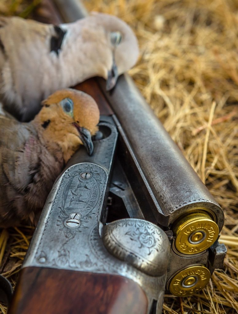 Dove Hunting Wallpapers