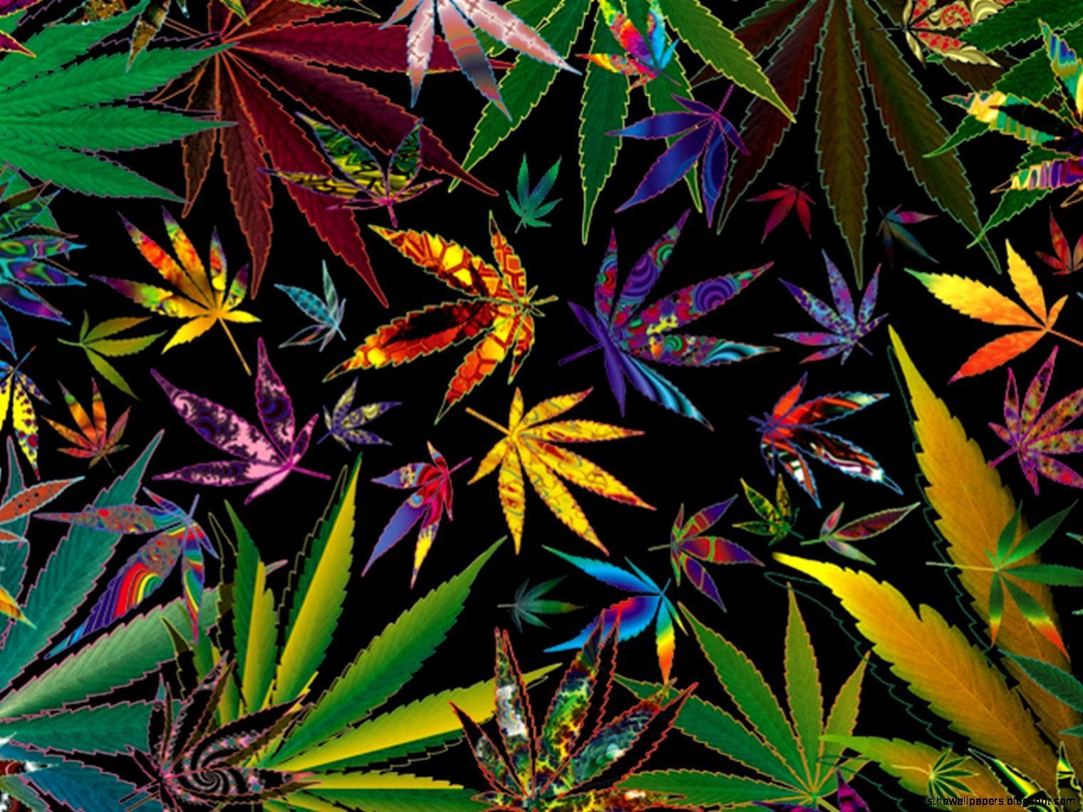 Dragon Ball Z Weed Wallpapers