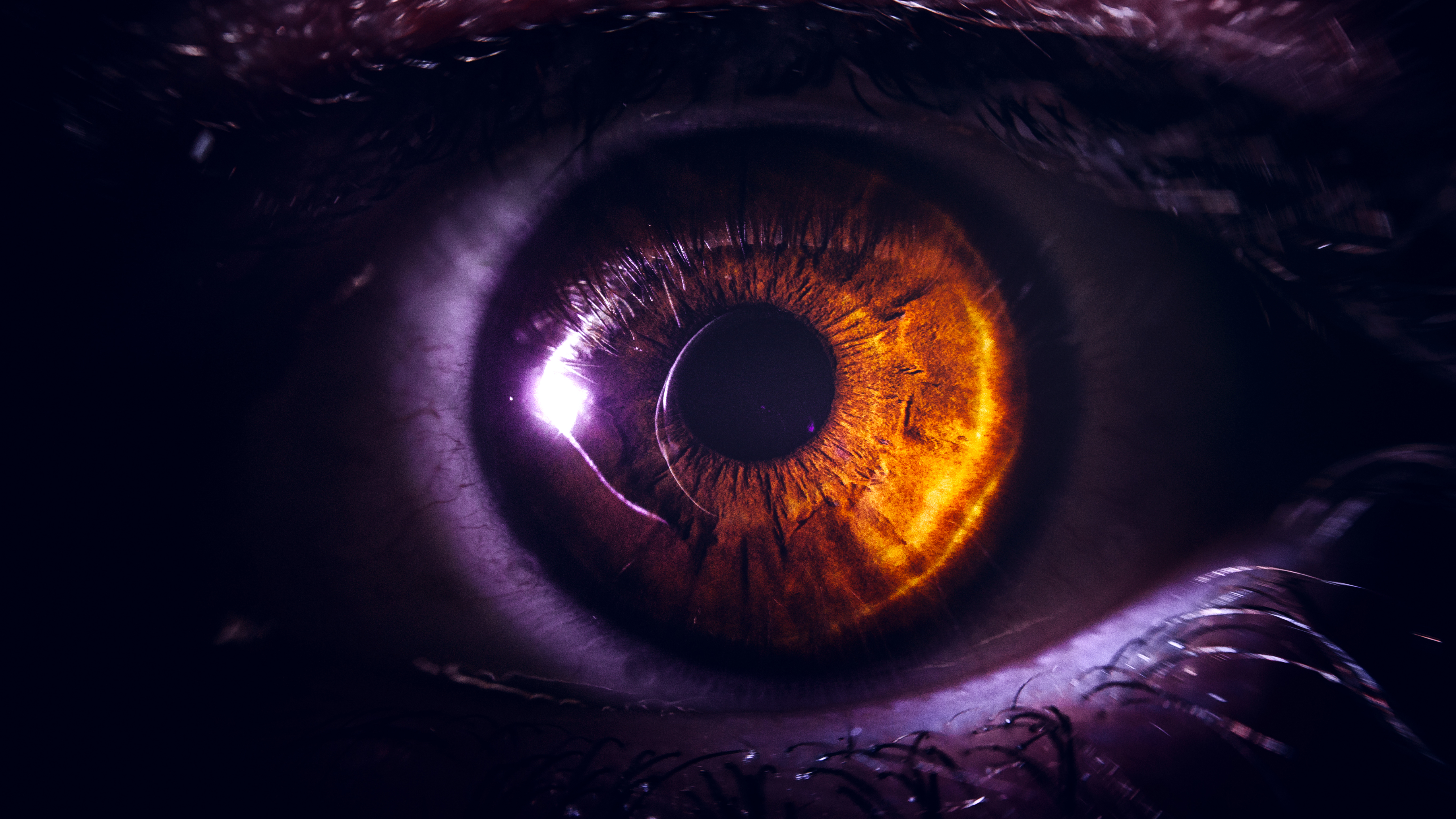 Dragon Eye Wallpapers