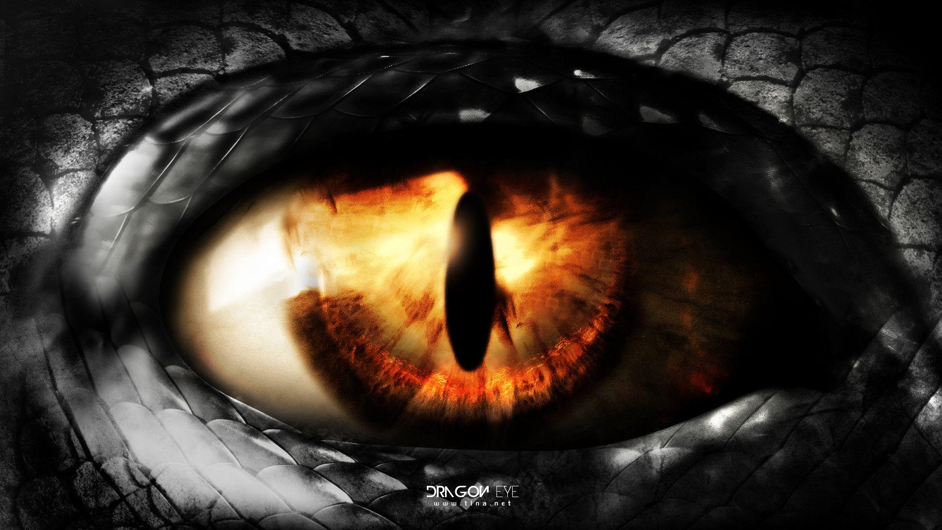 Dragon Eyes
 Wallpapers