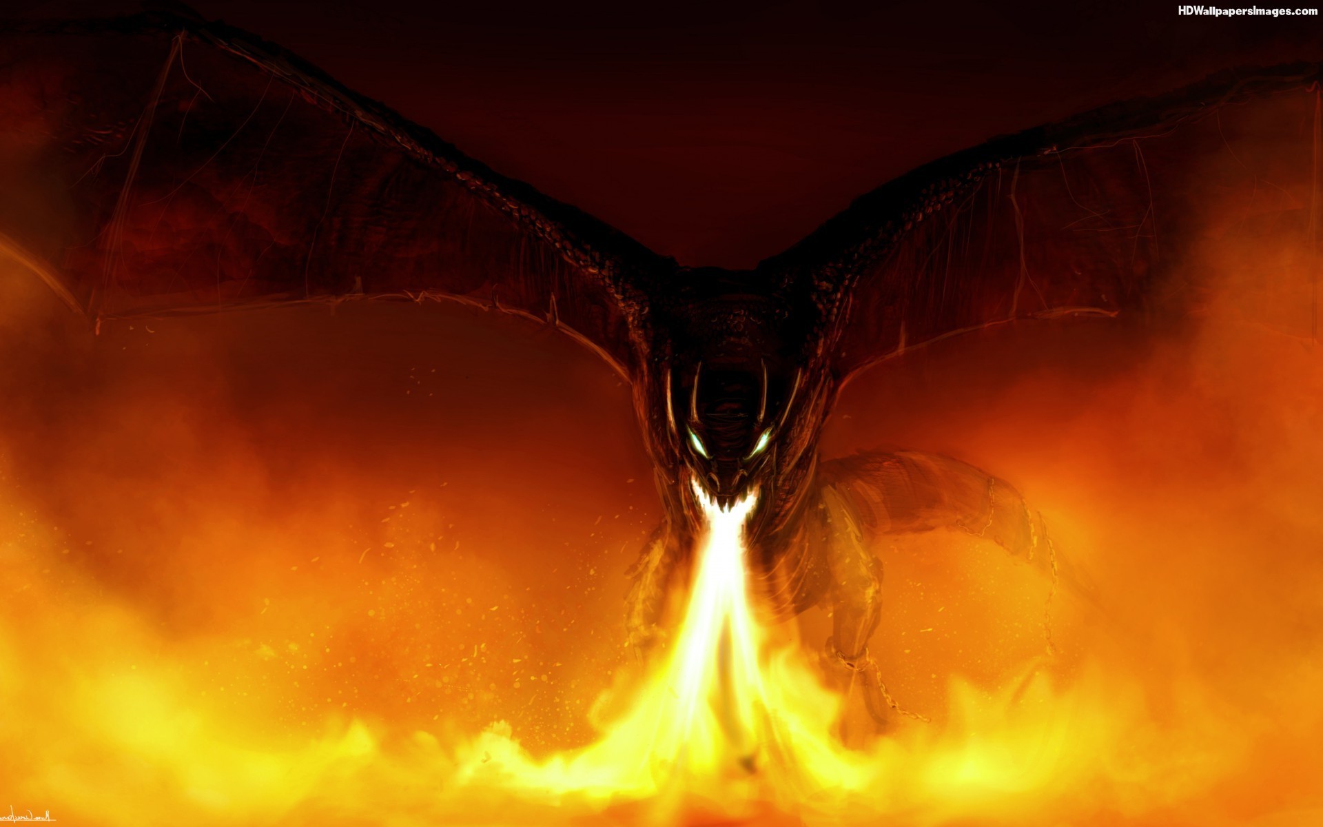 Dragon Fire
 Wallpapers