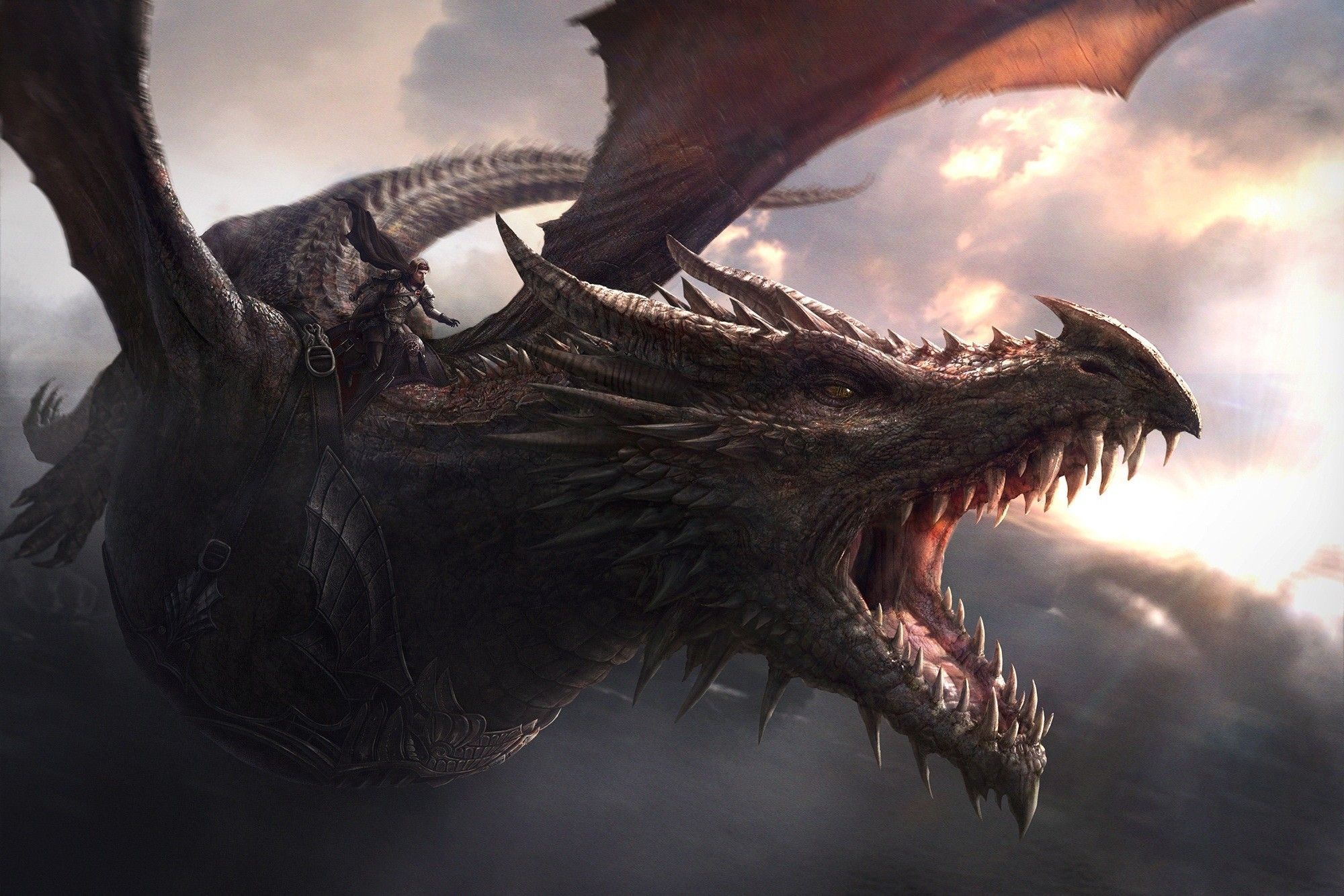 Dragon Game Of Thrones Artwork Wallpapers