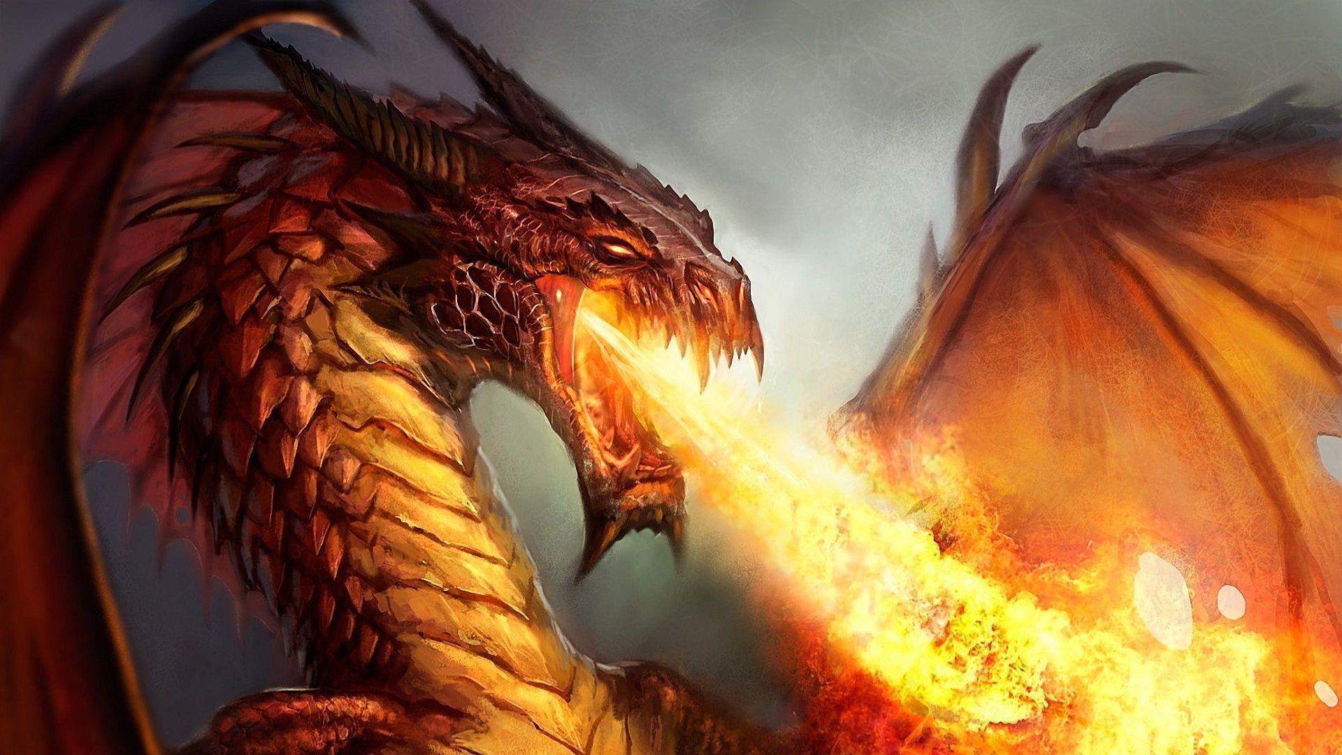 Dragon Throwing Fire Wallpapers