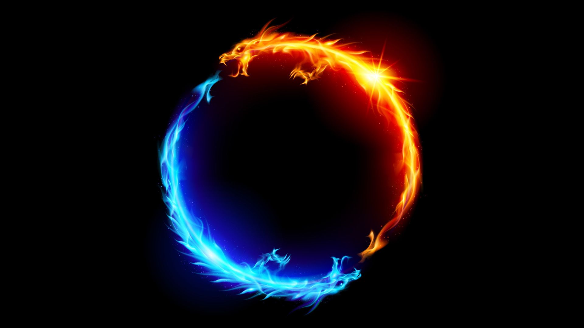 Dragon Yin Yang
 Wallpapers