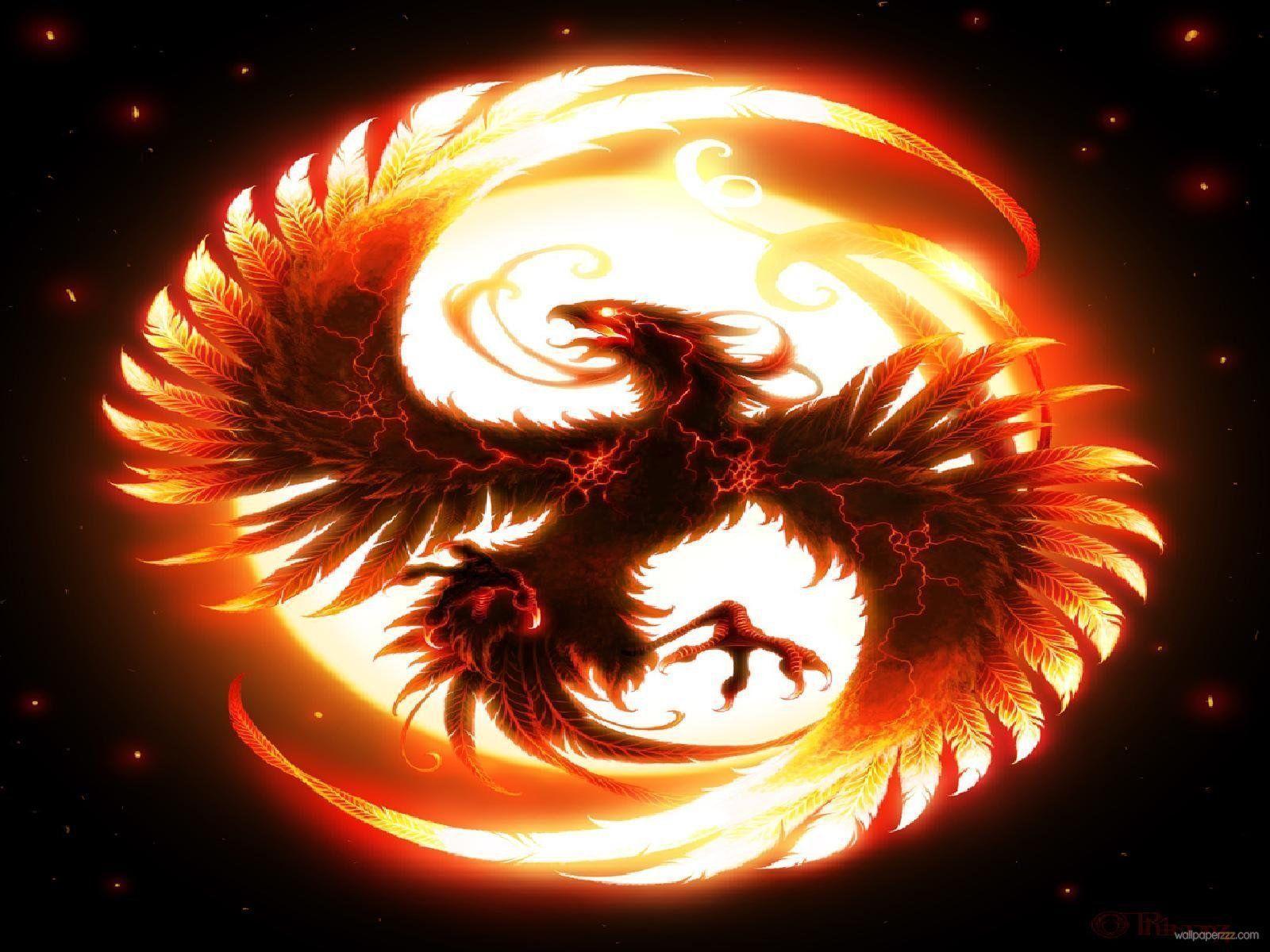 Dragons Fire Wallpapers