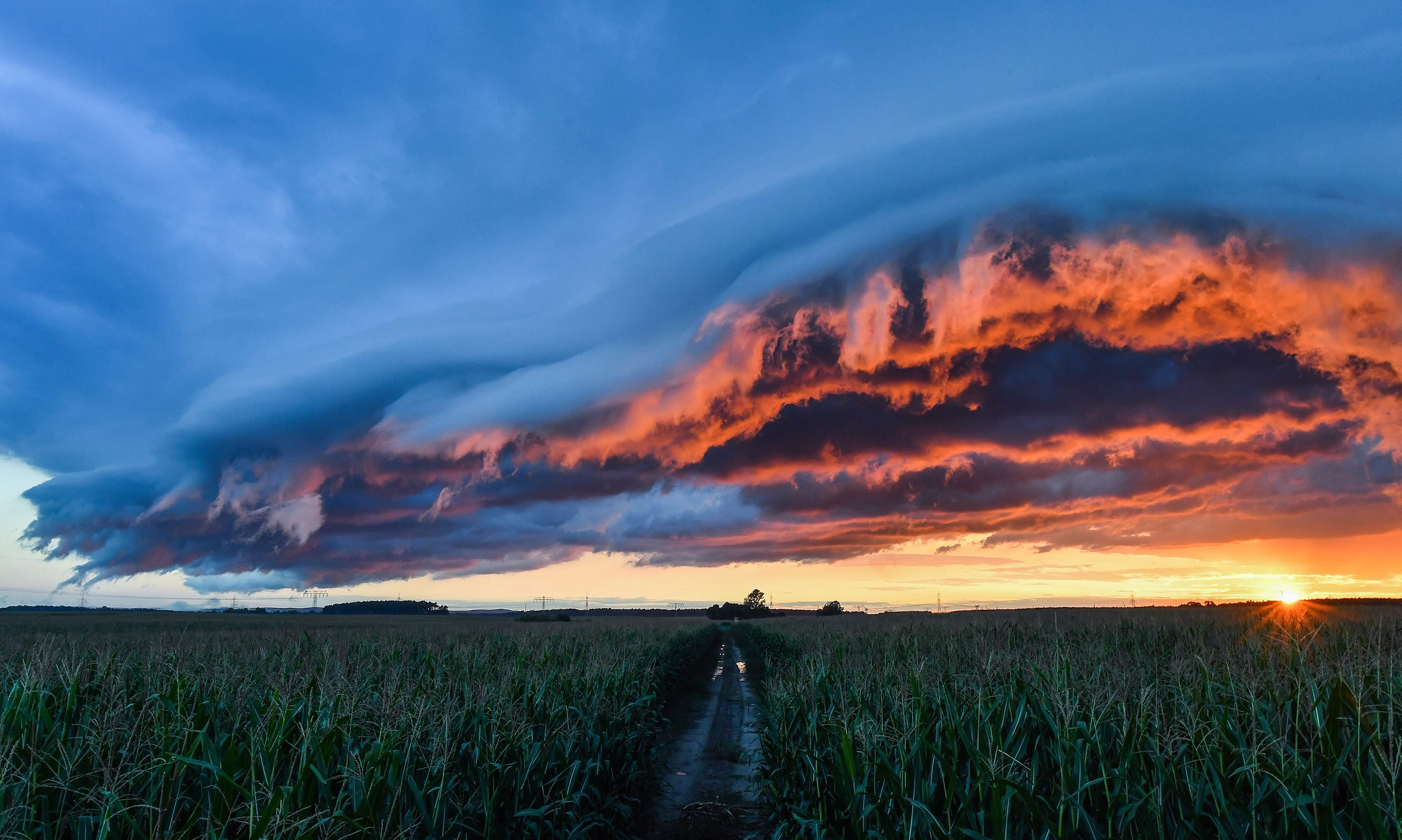 Dramatic Field Under Dark Clouds Wallpapers