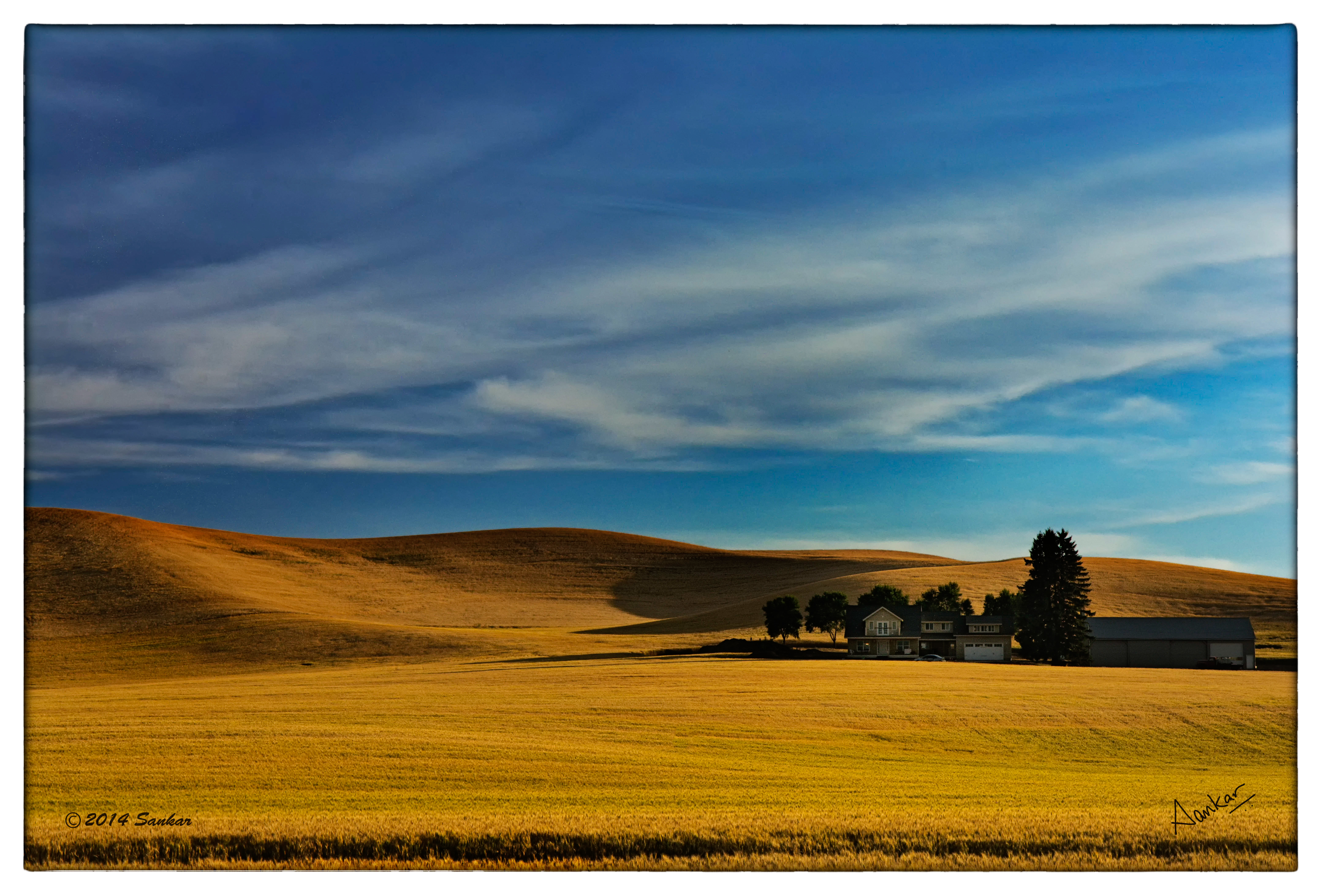 Dramatic Field Under Dark Clouds Wallpapers