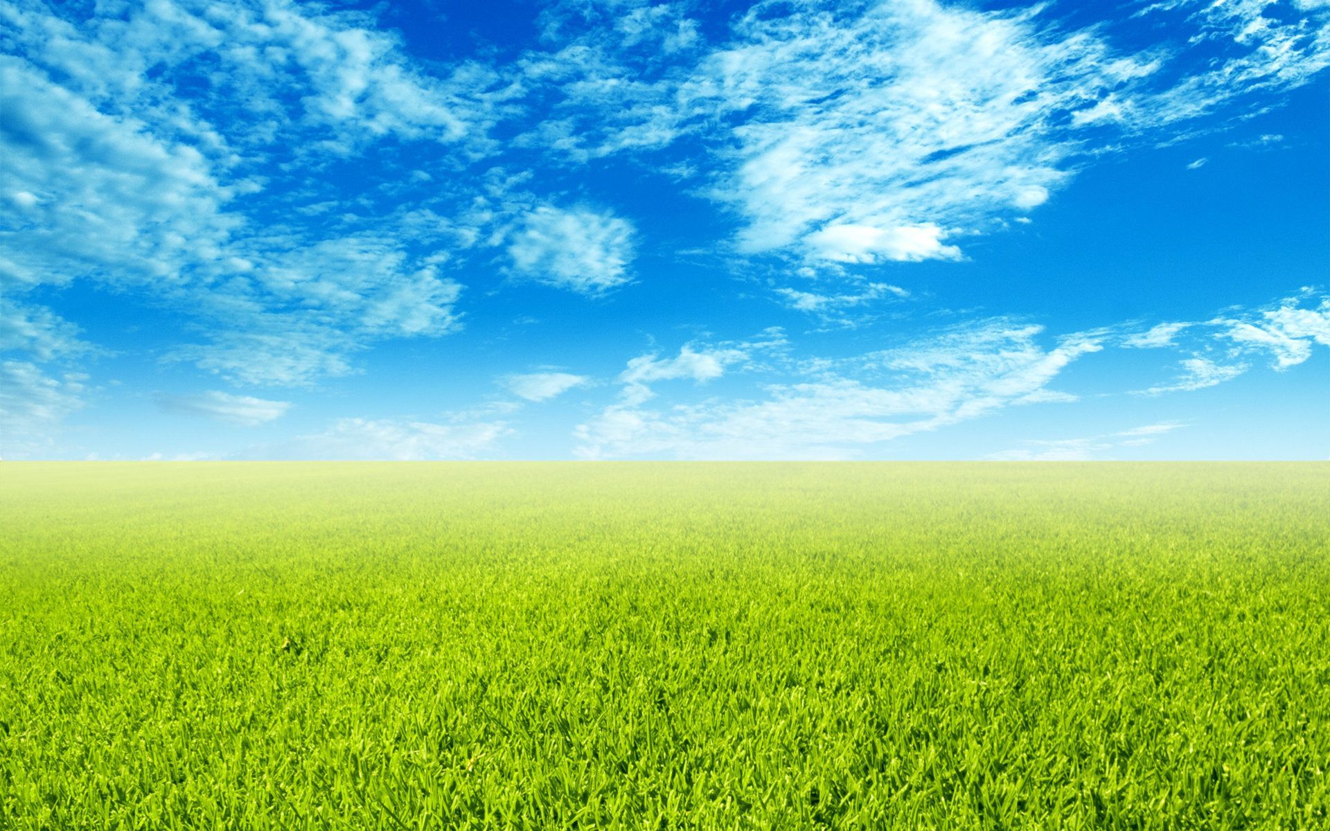 Dramatic Green Field Wallpapers