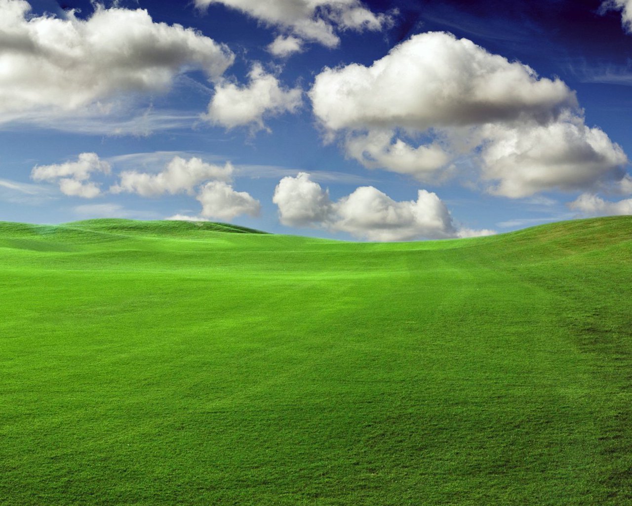 Dramatic Green Field Wallpapers