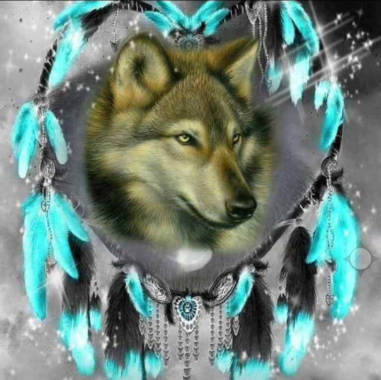 Dream Catcher Wolf Wallpapers