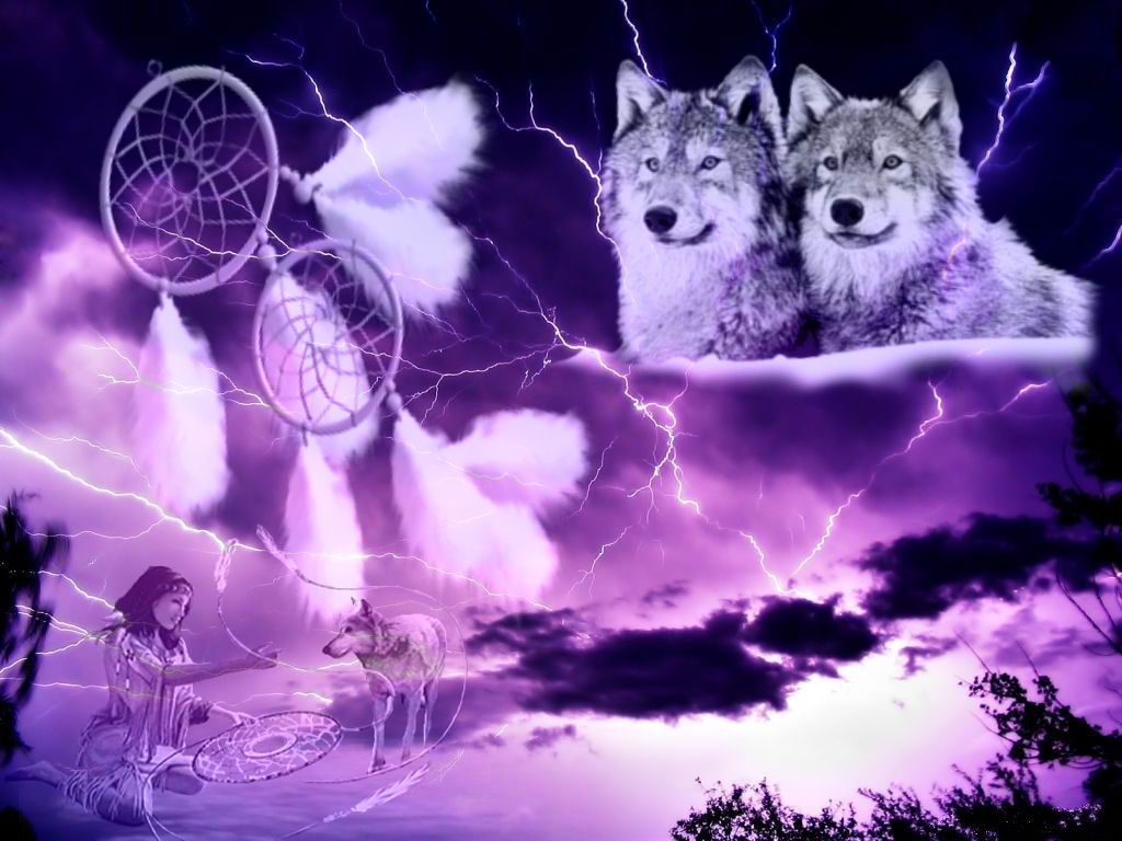 Dream Catcher Wolf Wallpapers