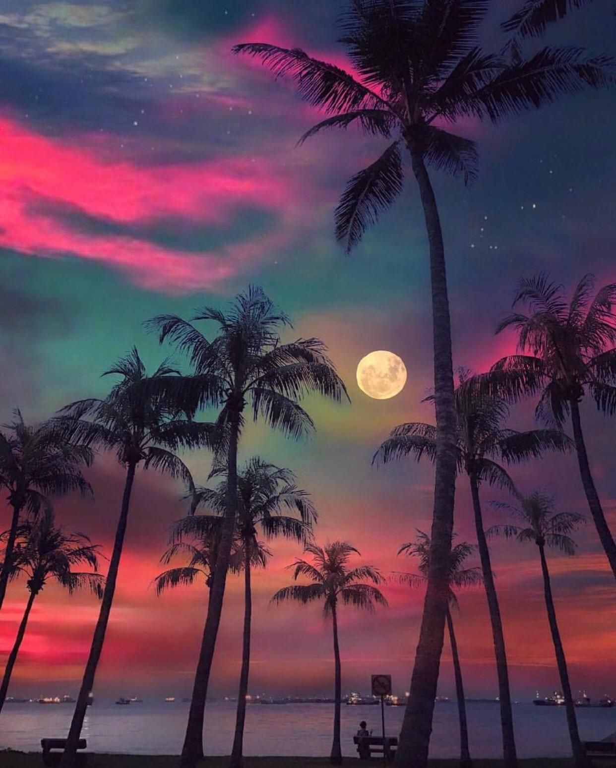 Dreamy Night Wallpapers
