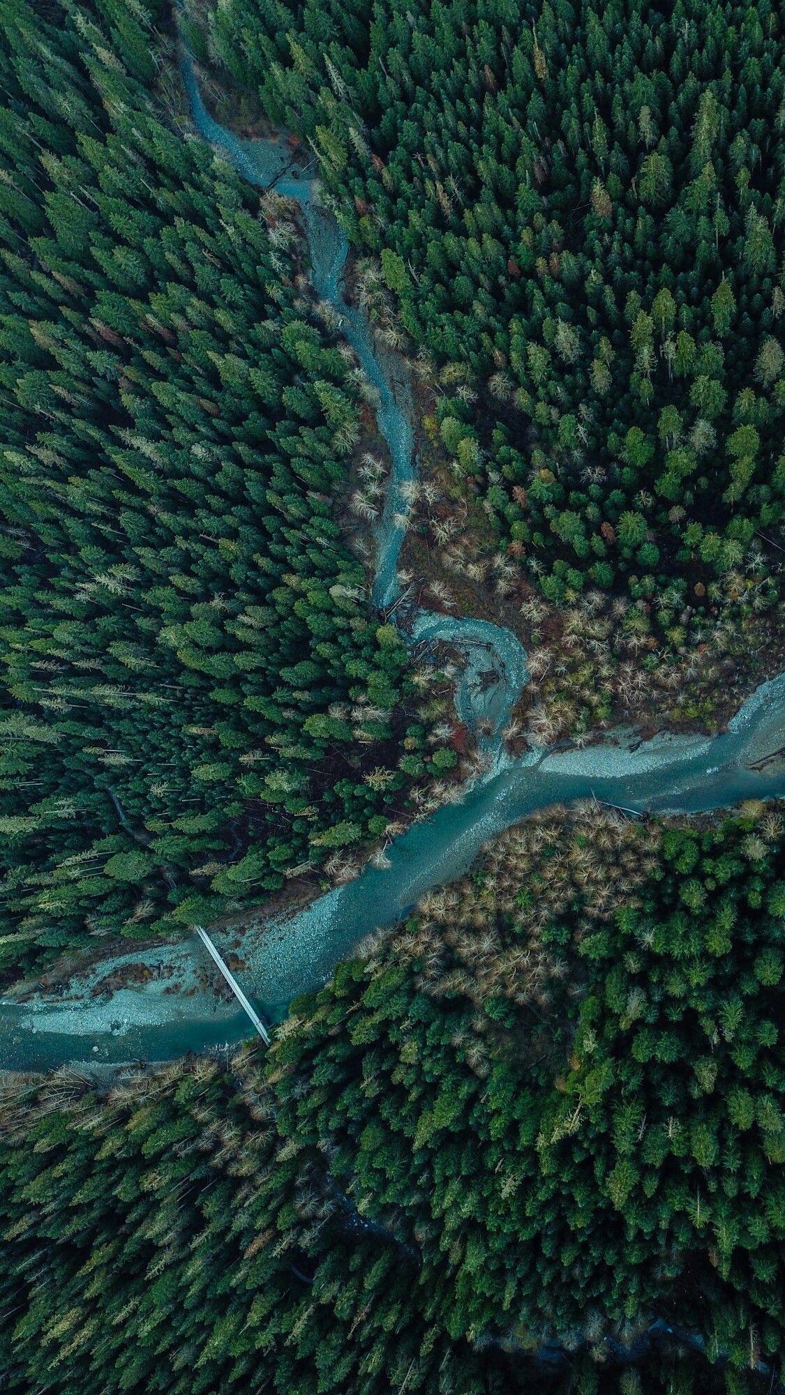 Drone Forest Wallpapers