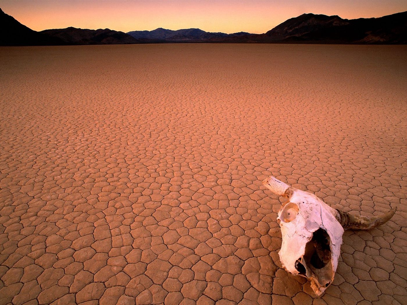 Drought Desert Landscape Wallpapers