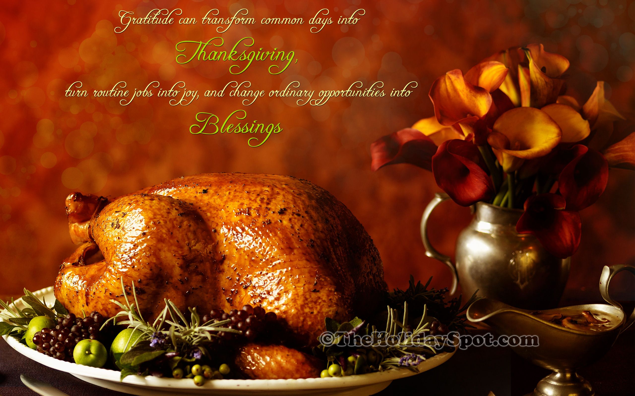 Drunk Turkey Images Wallpapers