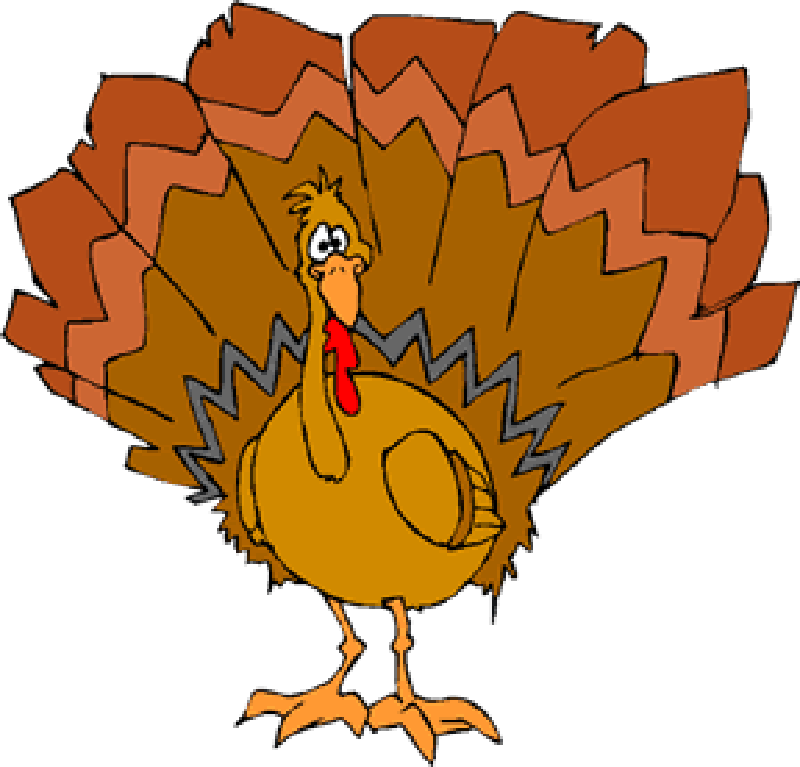 Drunk Turkey Images Wallpapers