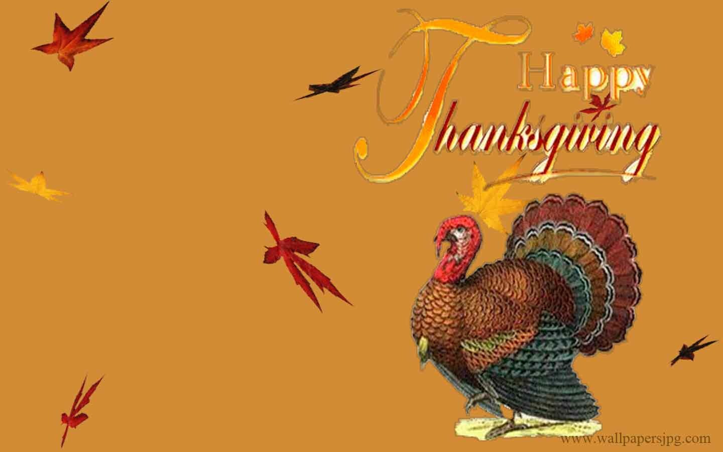Drunk Turkey Images Wallpapers